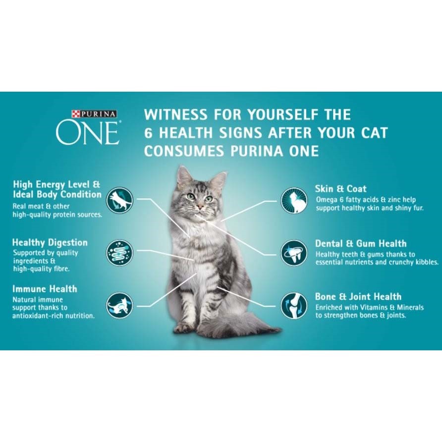 Purina one urinary tract cat best sale food ingredients