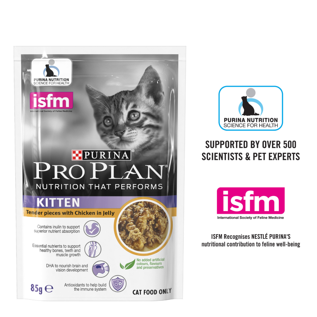 pro plan kitten wet food