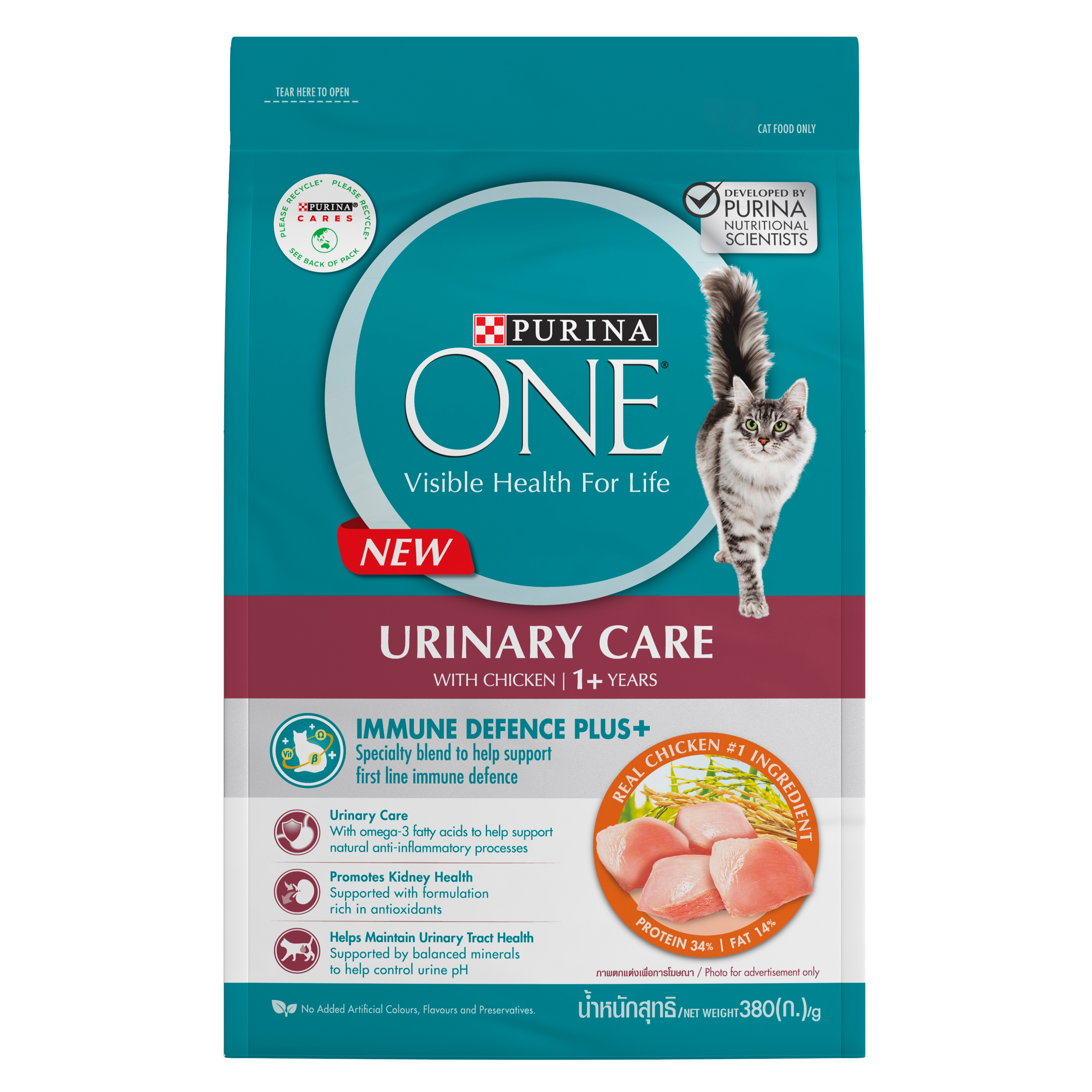 Purina best sale urinary cat