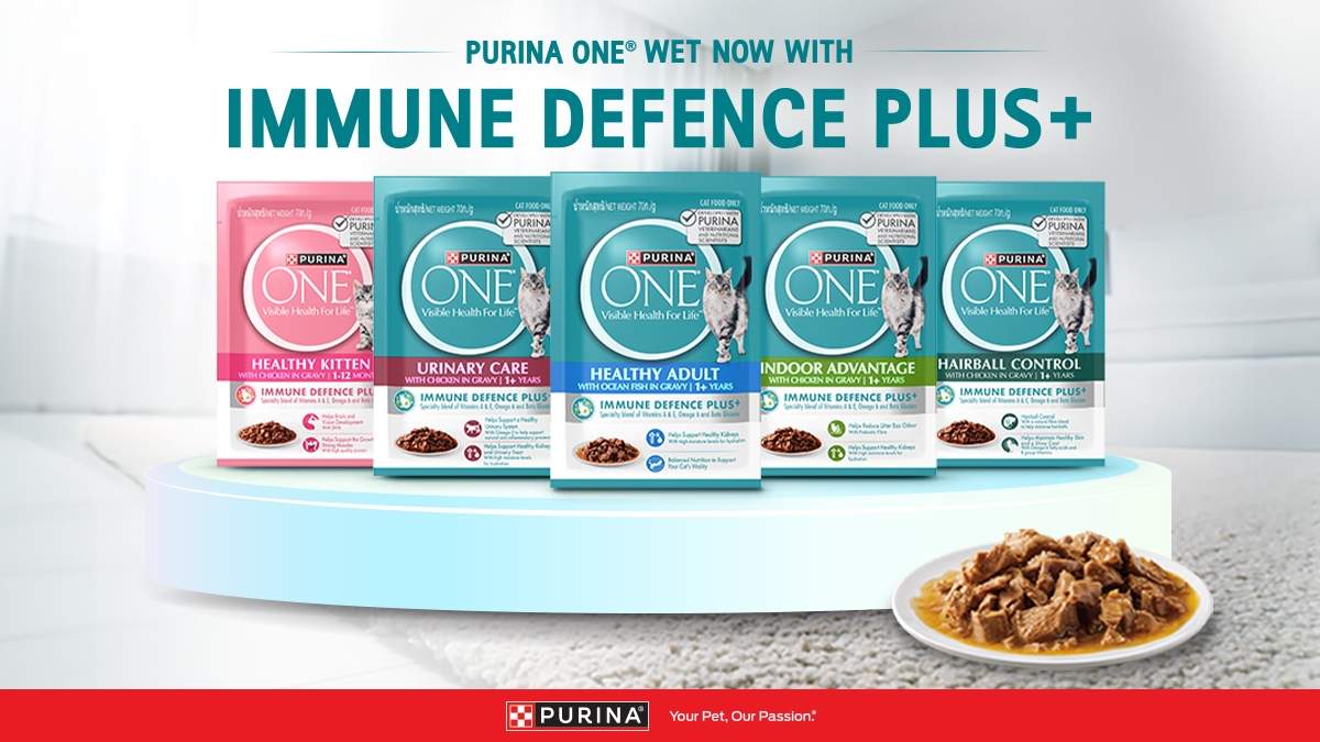 PURINA ONE WET Now With Immune Defence Plus