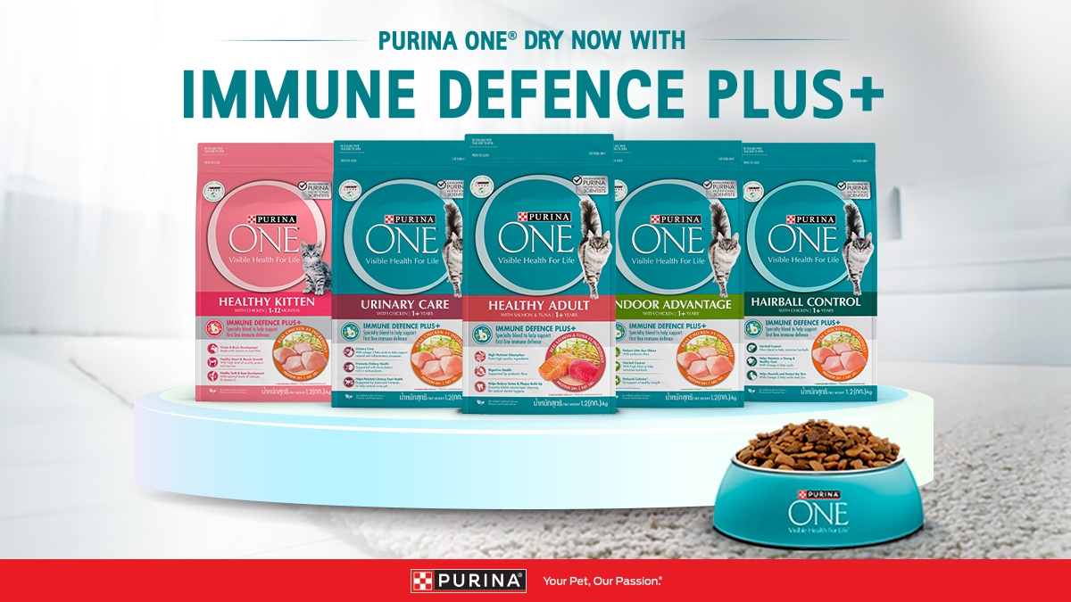 PURINA ONE Dry banner