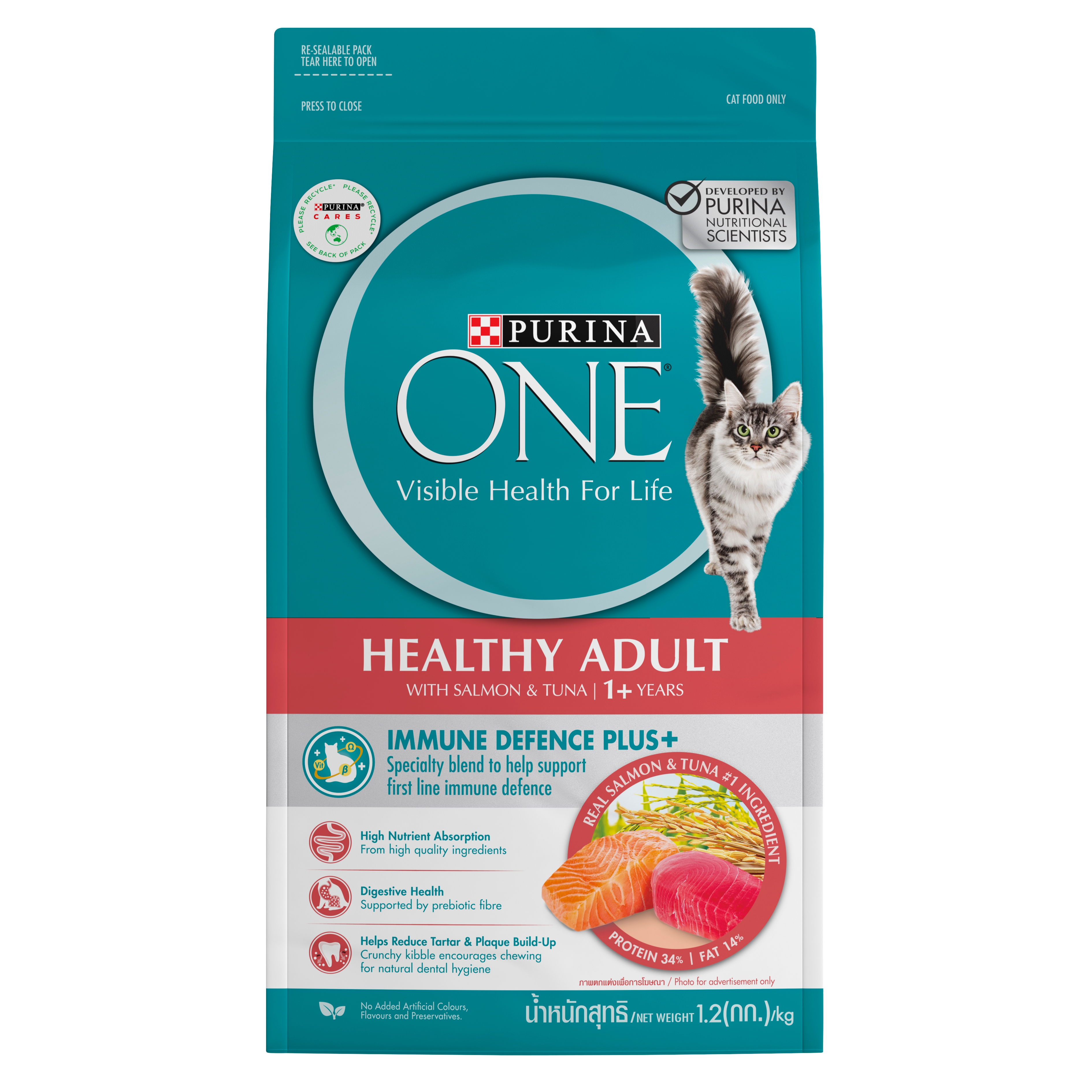 PURINA ONE Healthy Adult with Salmon and Tuna Dry Cat Food