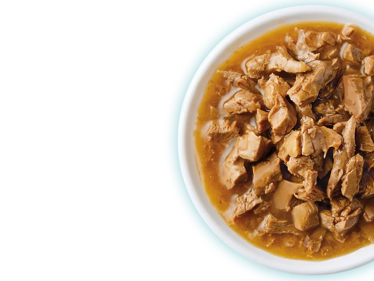 Wet Cat Food