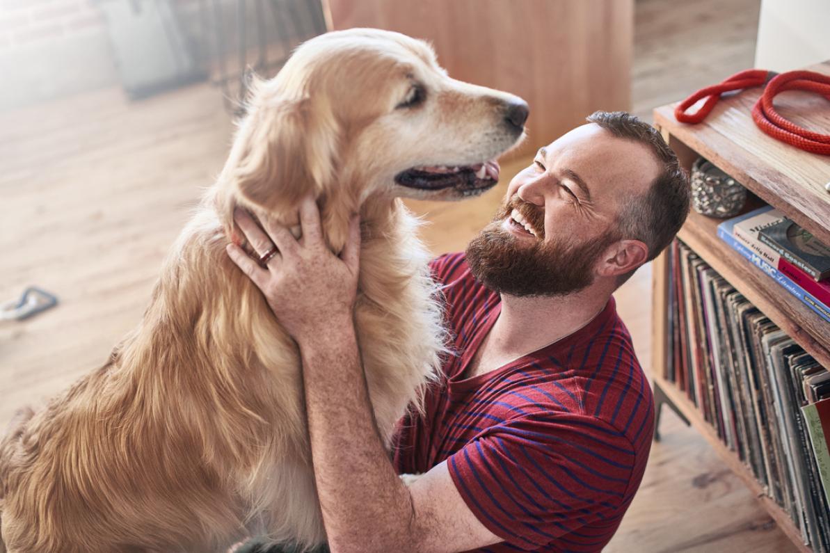 Endless Breed Options