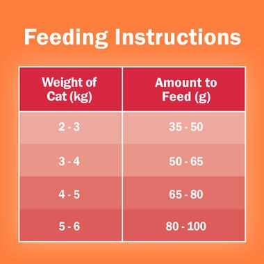 feeding guide table