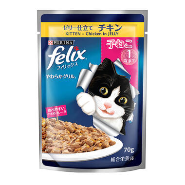 kitten felix wet food