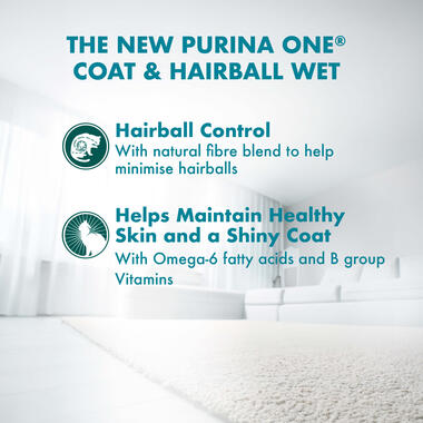 PURINA ONE® Adult Hairball Control new formula