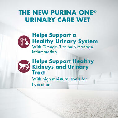 Adult Urinary Care with Chicken benefits