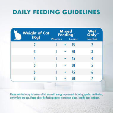 Healthy Adult with Ocean Fish Feeding Guide
