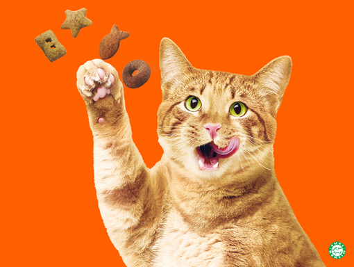 FRISKIES® Logo