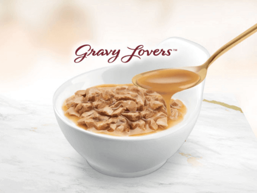 banner gravy lovers