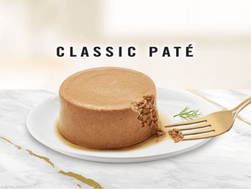 banner classic pate