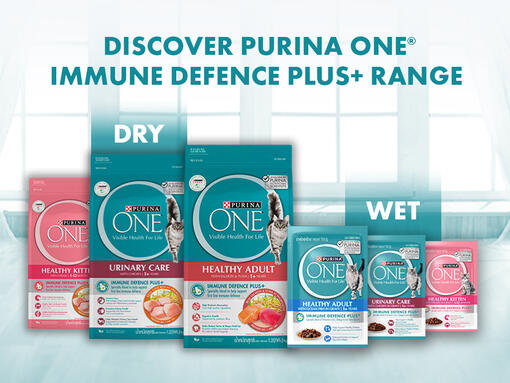 04 PURINA ONE Dry & Wet Range